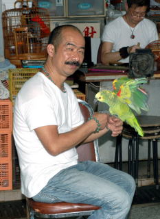 Człowiek z papugą