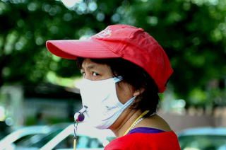 Strażniczka przejścia dla pieszych