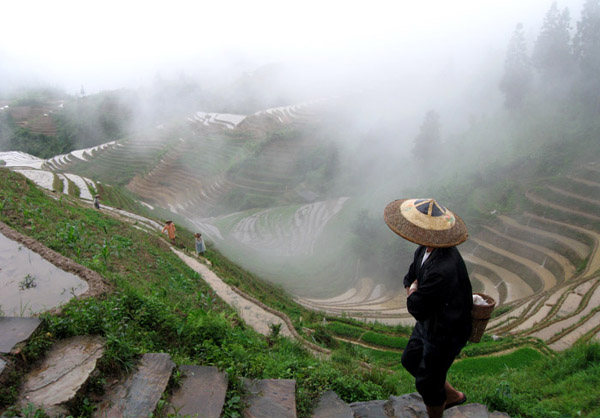 Sławne pola tarasowe - Guilin - zdjęcia z Chin