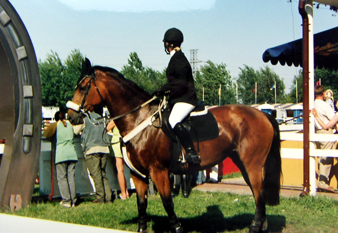 Koń w oczekiwaniu - zdjęcia z Chin