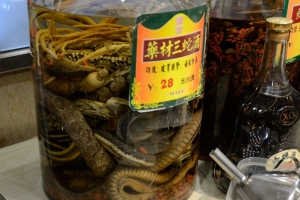 Chińska wódka żmijówka