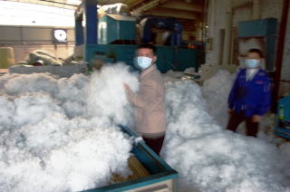 Zapylone życie robotników