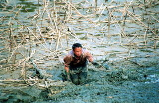 Człowiek z bagien... błotniak